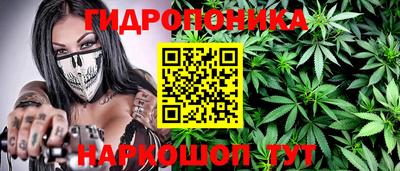 эйфоретик Будённовск