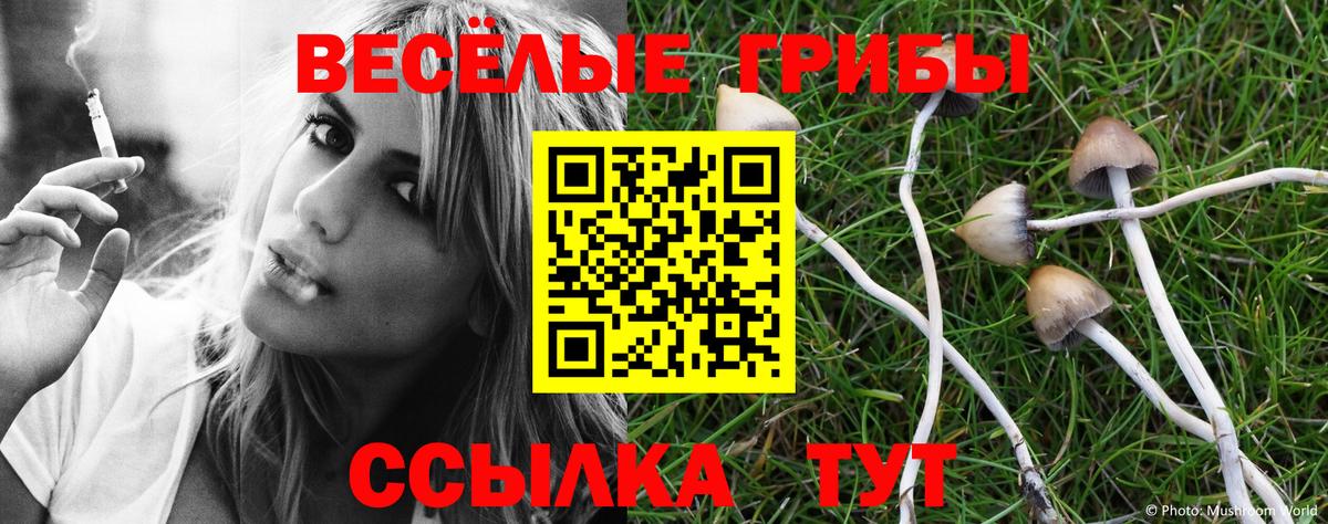 купить наркоту  Галлюциногенные грибы мицелий  Вход с VPN  Магнитогорск 